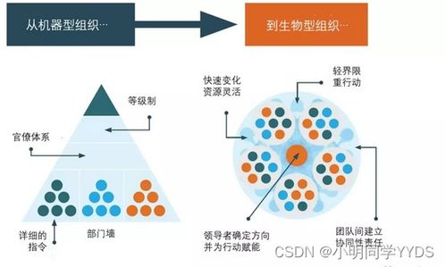數(shù)據(jù)治理之道 構建敏捷治理組織與高效數(shù)據(jù)處理機制
