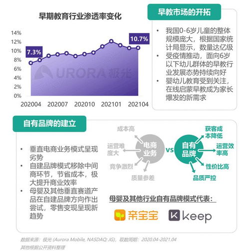 2021年移動互聯(lián)網(wǎng)母嬰親子行業(yè)研究報(bào)告