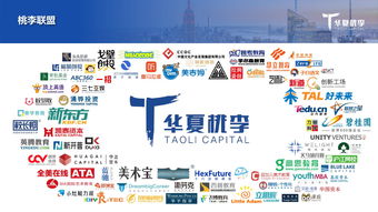 創業投資與數據驅動 199it引領互聯網數據服務新趨勢