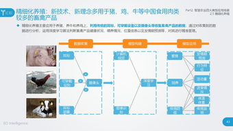 戰略新興產業的核心支柱 互聯網數據中心與199it數據服務